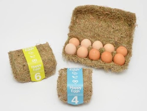 Heat-pressed hay egg container