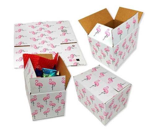 Printed carton box packaging